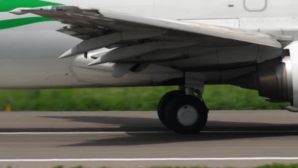 索蒙航空公司 波音737起飞 — 图库视频影像