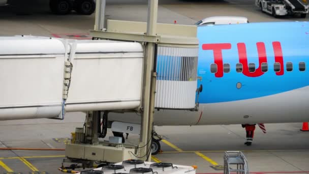 TUI Fly Boeing 737 estremità di rullaggio — Video Stock