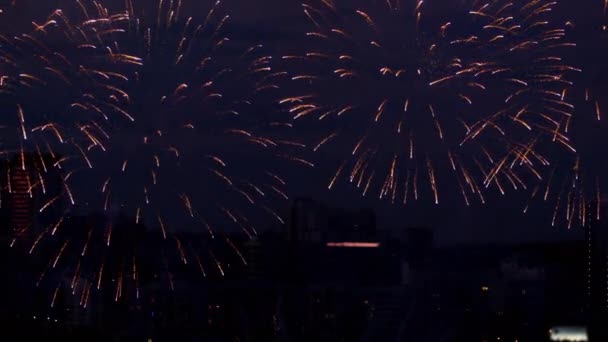 Belo fogo de artifício no céu da noite — Vídeo de Stock