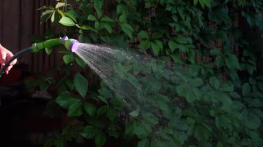 El ile Bahçe püskürtücü