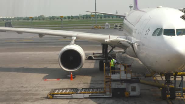 Rakomány feltöltése a légi jármű fedélzetére — Stock videók
