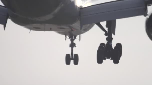 Avión acercándose y aterrizando temprano en la mañana — Vídeo de stock