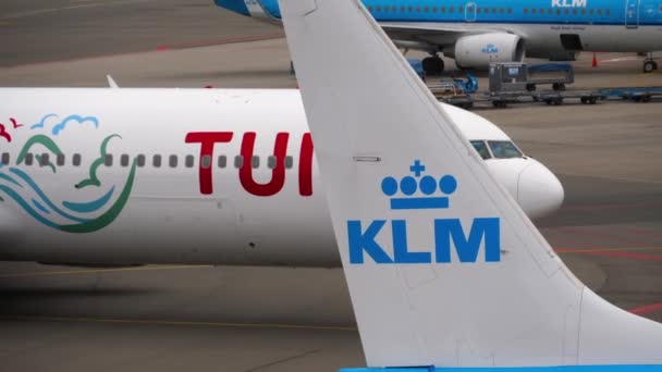 Tui Fly Boeing 767 pojíždění po přistání — Stock video