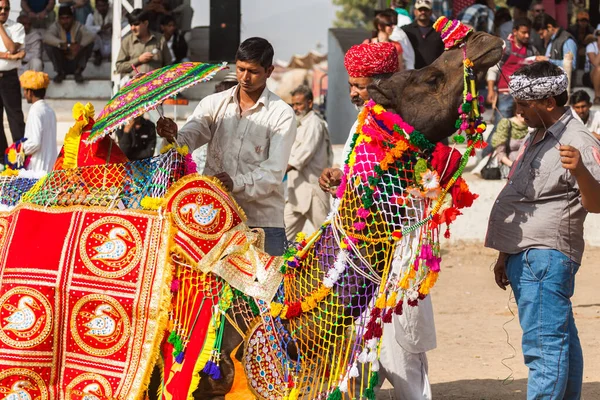 Belo camelo na feira em Pushkar — Fotografia de Stock