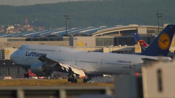 Landning av flygplan i Frankfurt — Stockvideo