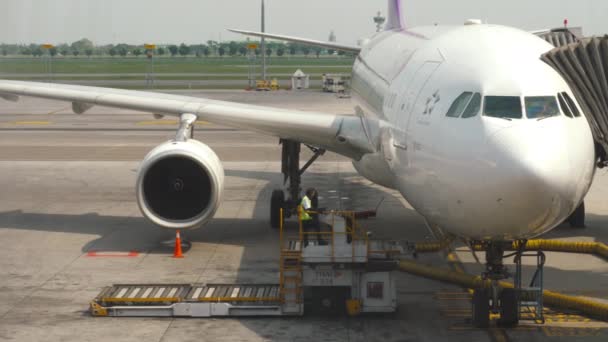 Carregamento de carga a bordo da aeronave — Vídeo de Stock
