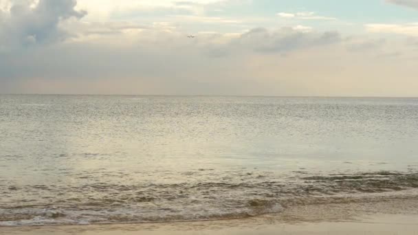 Avión acercándose sobre la playa del océano — Vídeo de stock