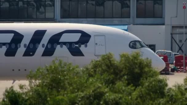 Flugzeug rollt nach der Landung — Stockvideo