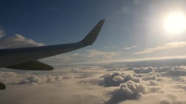 Luchtzicht vanuit het vertrekkende vliegtuig — Stockvideo