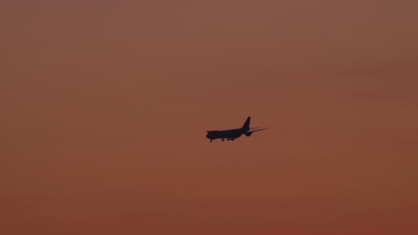 Final approach at sunset — Stock Video