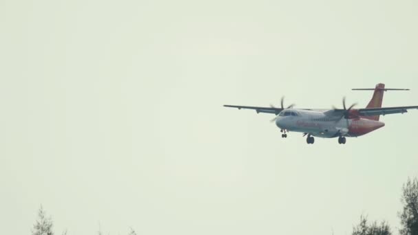 涡轮螺旋桨飞机在普吉着陆 — 图库视频影像
