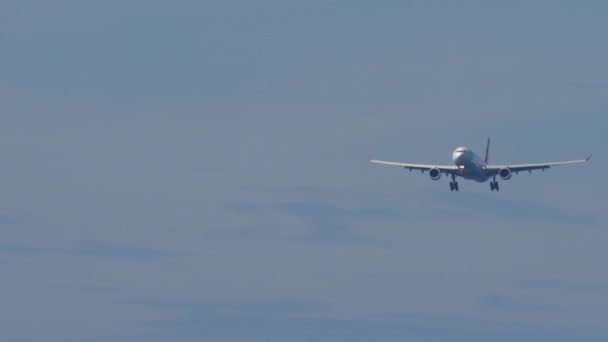 Turkish Airlines Airbus A330 se blíží před přistáním — Stock video