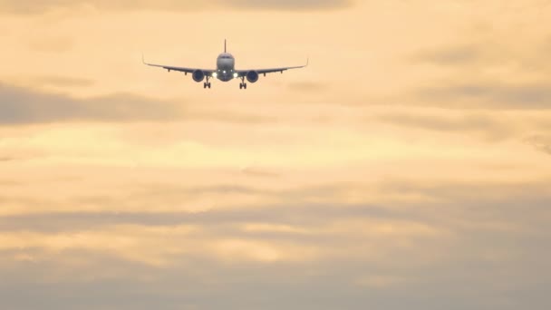 Letzter Anflug bei Sonnenaufgang — Stockvideo