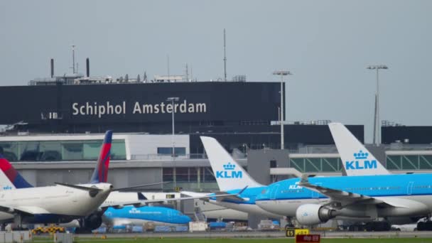 Klm airbus a330 rollt nach der Landung — Stockvideo