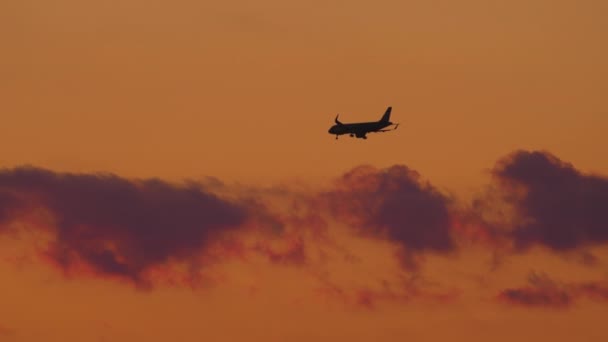 Final approach at sunset — Stock Video