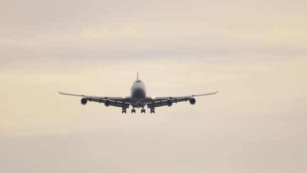 Letzter Anflug am frühen Morgen — Stockvideo