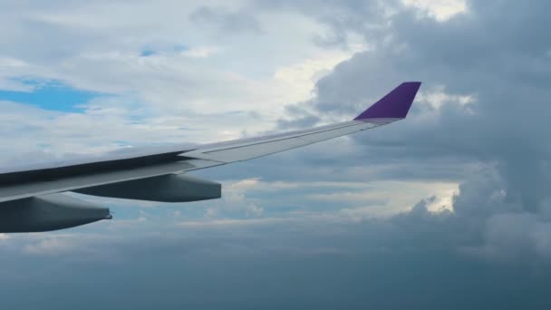 Vista aérea desde el avión descendente — Vídeo de stock