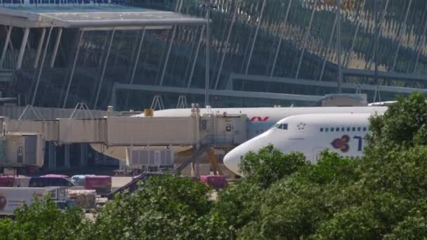 Thai Airways Boeing 747 taxiing ends — Stock Video