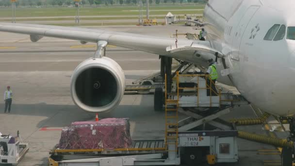 Chargement de fret à bord de l'aéronef — Video