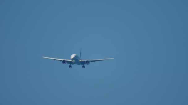 Widebody airplane approaching before landing — Stock Video