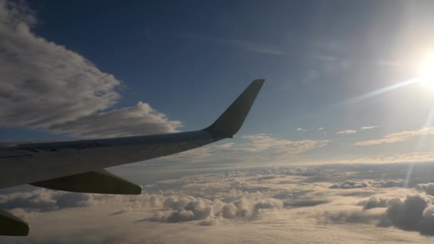 Vista aérea do avião de cruzeiro — Vídeo de Stock