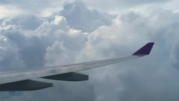 Luchtzicht vanuit dalend vliegtuig — Stockvideo