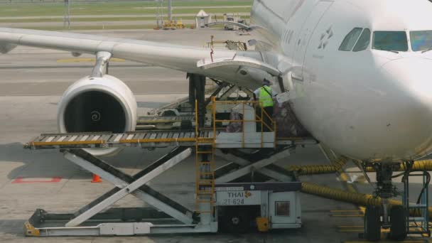 Caricamento del carico a bordo dell'aeromobile — Video Stock