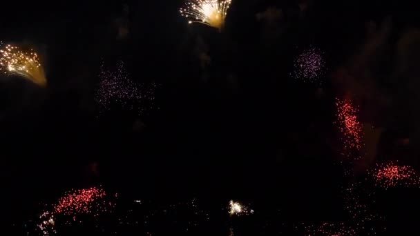 Kleurrijk van vuurwerk op City day festival — Stockvideo