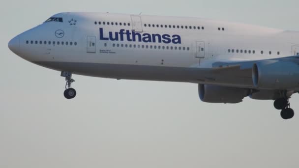Flugzeug landet in Frankfurt — Stockvideo