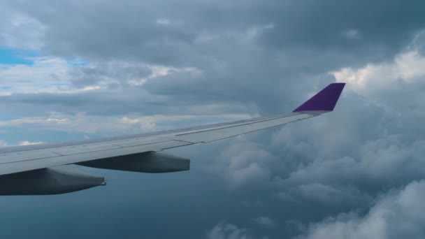 Vista aérea desde el avión descendente — Vídeo de stock