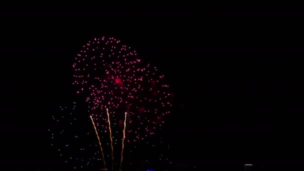 Coloridos fuegos artificiales en el festival del día de la ciudad — Vídeos de Stock