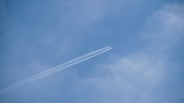 Avion de ligne de croisière haut dans le ciel — Video