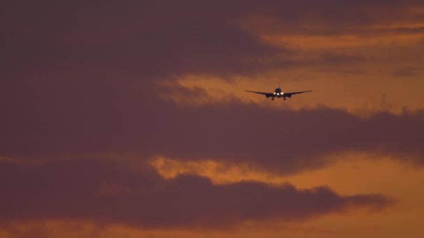 日没時に海上に接近する飛行機 — ストック動画