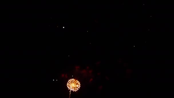 Kleurrijk vuurwerk op City day festival — Stockvideo