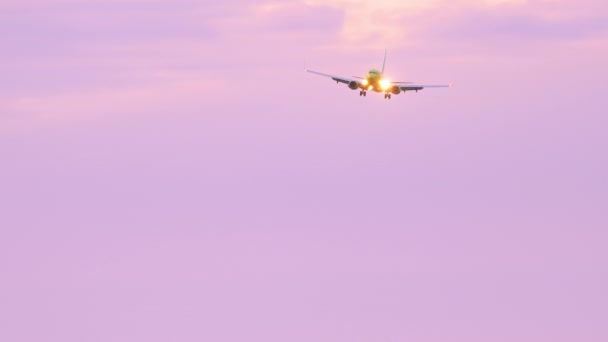 日の出時の最終進入時の航空会社 — ストック動画