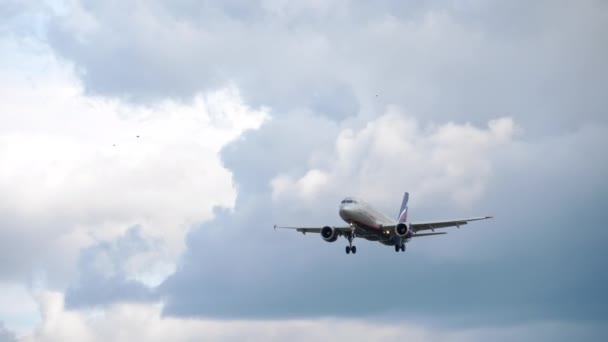 Airbus A320 aterrizaje de aviones — Vídeos de Stock
