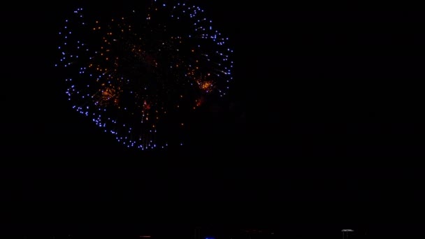 Helder kleurrijk vuurwerk op City day festival — Stockvideo