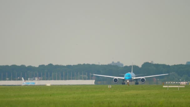 KLM Boeing 787 Dreamliner corriendo para despegar — Vídeos de Stock