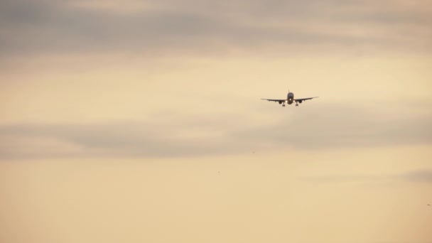 Avión en aproximación final. Vista desde el borde de las pistas — Vídeos de Stock