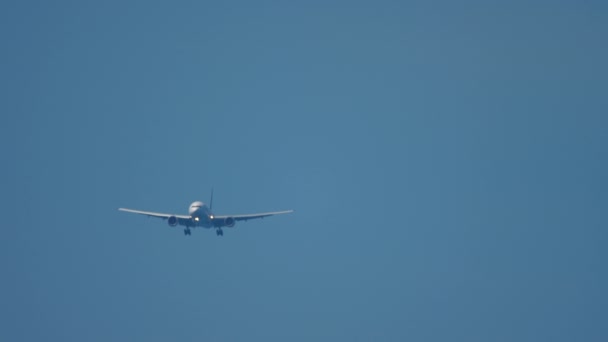 Avião de corpo largo se aproximando antes da aterrissagem — Vídeo de Stock