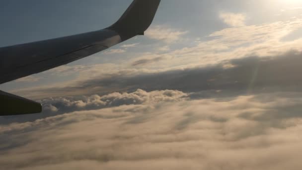 Vue aérienne depuis l'avion de ligne d'escalade — Video