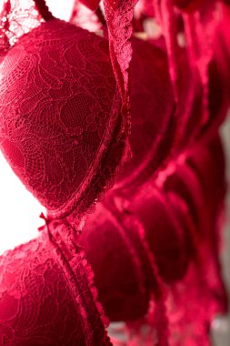 Kırmızı sütyen sayısı. İç çamaşırı. Bayan giyim. Arka plan