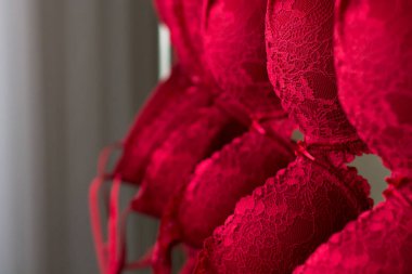 Kırmızı sütyen sayısı. İç çamaşırı. Bayan giyim. Arka plan