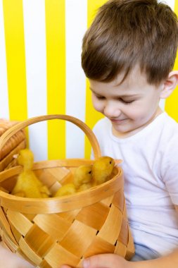 Ördek Civciv ile Bir Çocuk Parlak Portre. Çocukların Hayvanlara Sevgisi