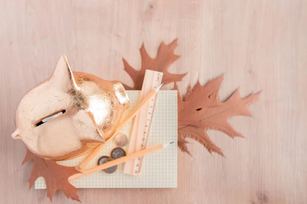 ピギーバンクの背景に木製の鉛筆と定規。環境にやさしい事務用品。秋のコンセプト — ストック写真