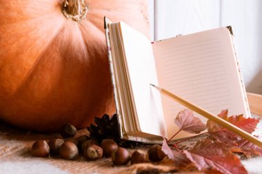 Balkabağı ve Kitapla Hayat. Sonbahar konsepti. Boşluğu Kopyala