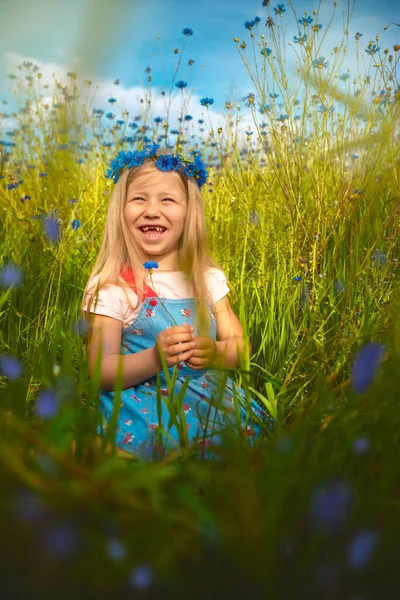 Cute Baby Girl in a Blooming Field. Summer Concept. Portrait Stock Photo