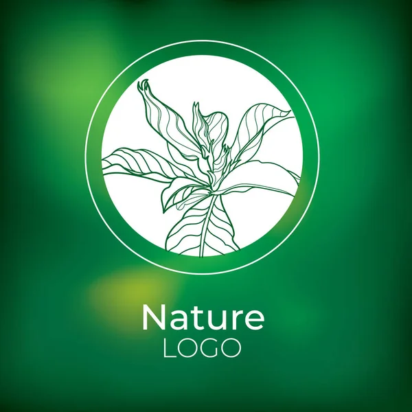 Terwijl Bloemen Logo Groene Natuurlijke Achtergrond — Stockvector