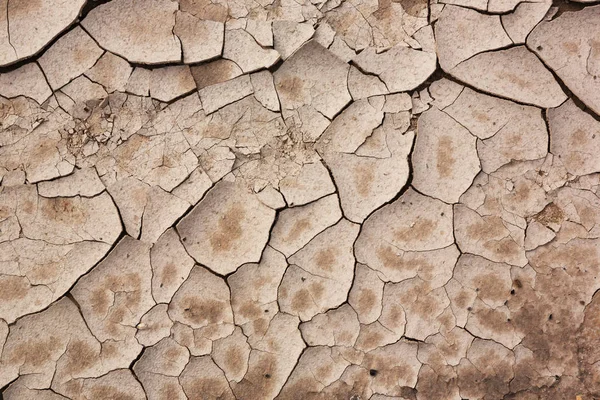 光の茶色の粘土質の地面のひび — ストック写真