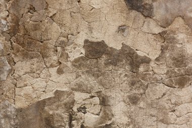 çatlak ile grunge çimento duvar